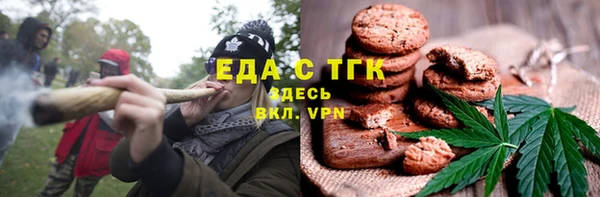 гашик Карпинск