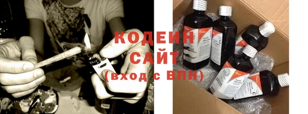 гашик Карпинск