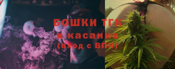 гашик Карпинск