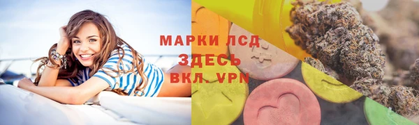 ГАЛЛЮЦИНОГЕННЫЕ ГРИБЫ Карталы