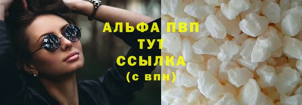 ГАЛЛЮЦИНОГЕННЫЕ ГРИБЫ Карталы