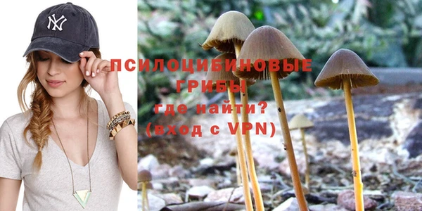 гашик Карпинск