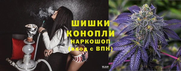 соль ск Касимов
