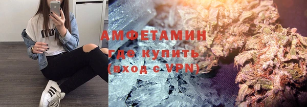 ГАЛЛЮЦИНОГЕННЫЕ ГРИБЫ Карталы