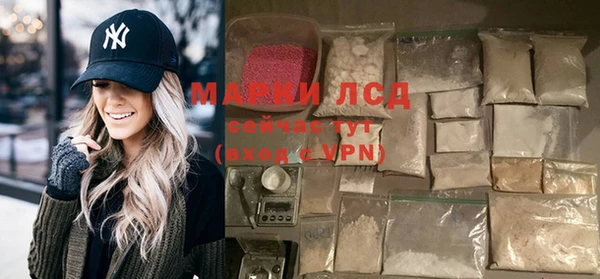 гашик Карпинск