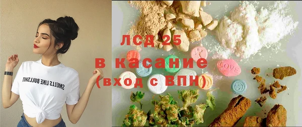 гашик Карпинск