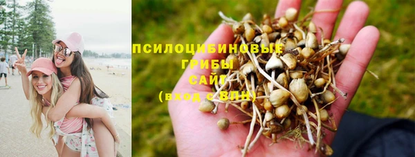 соль ск Касимов