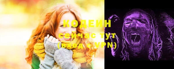 гашик Карпинск