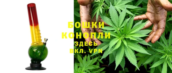 гашик Карпинск